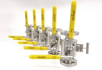 Double Block & Bleed Valves